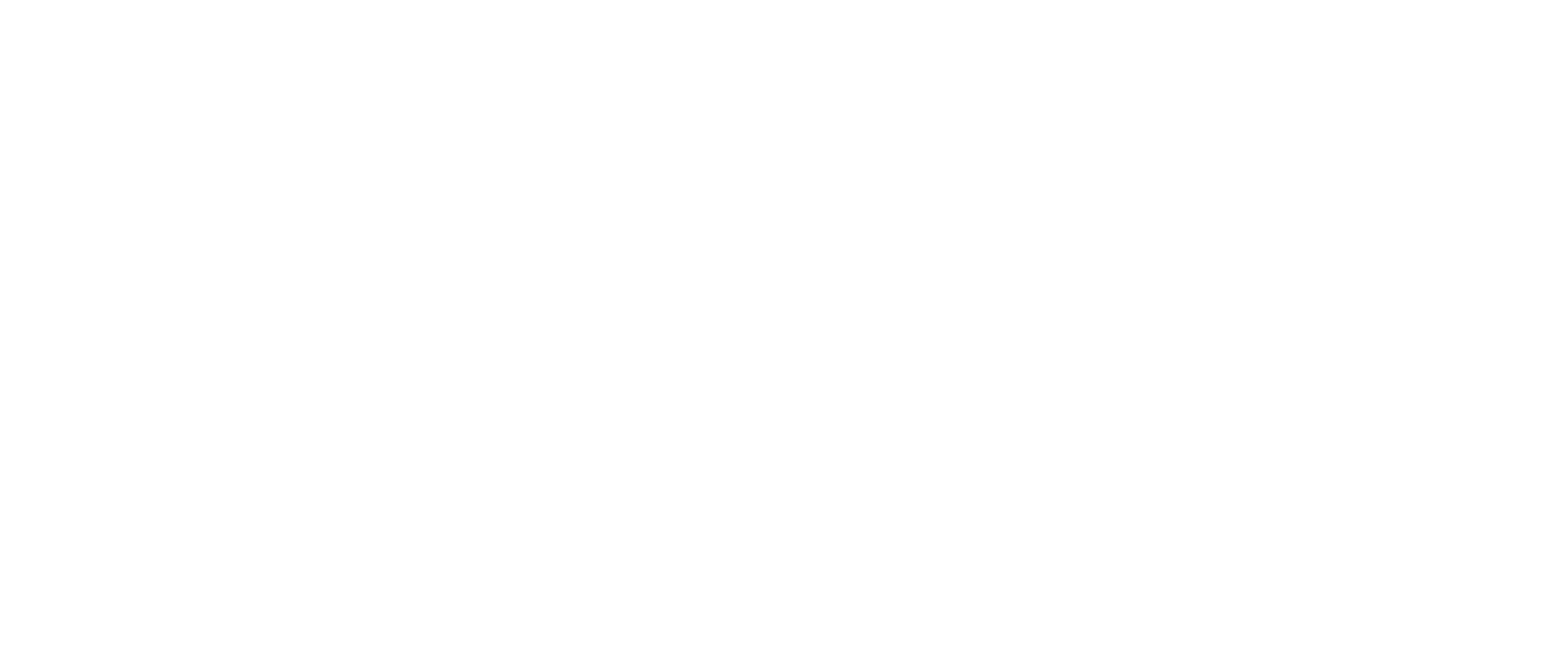Netmon logo