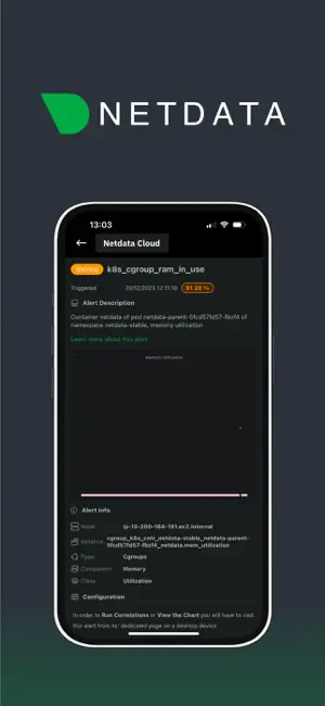 Netdata Mobile - Alert Detail View